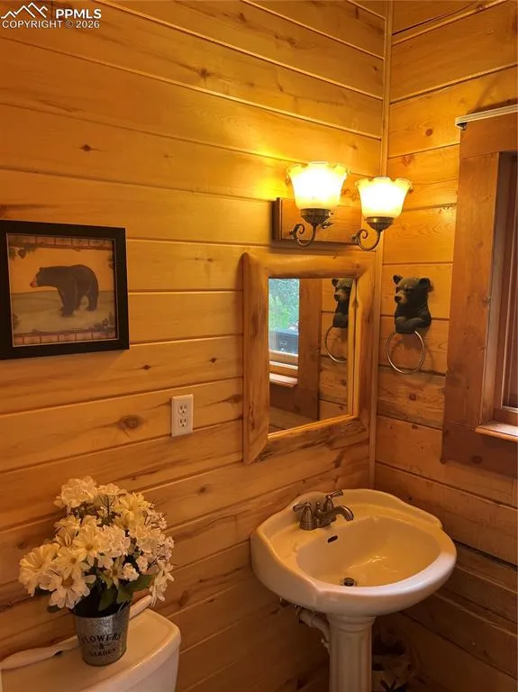 87 Thompson Road La Veta, CO 81055