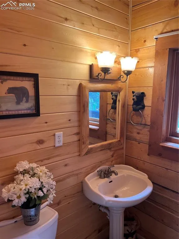 87 Thompson Road La Veta, CO 81055