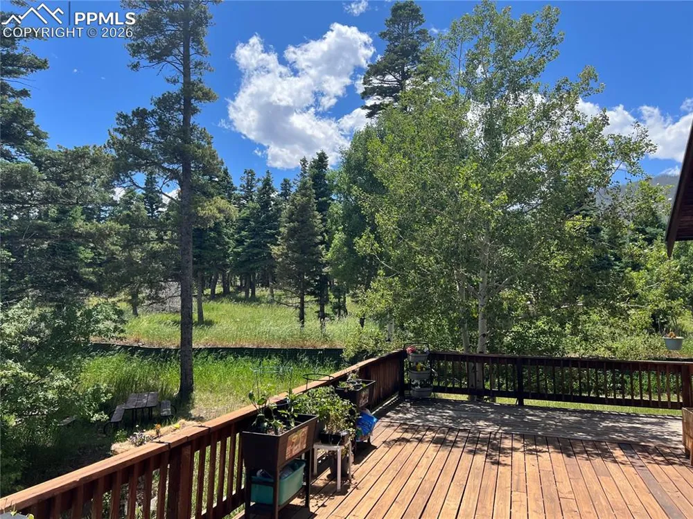 87 Thompson Road La Veta, CO 81055