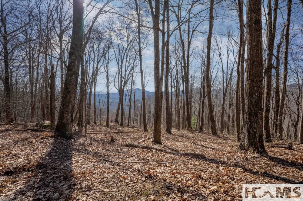 41 ac Trussing Terrace Sapphire, NC 28774