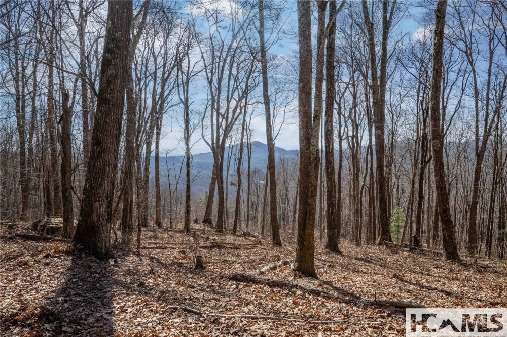 41 ac Trussing Terrace Sapphire, NC 28774