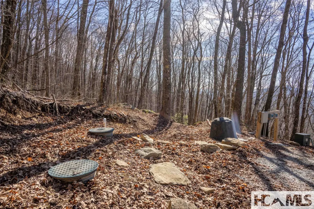 41 ac Trussing Terrace Sapphire, NC 28774