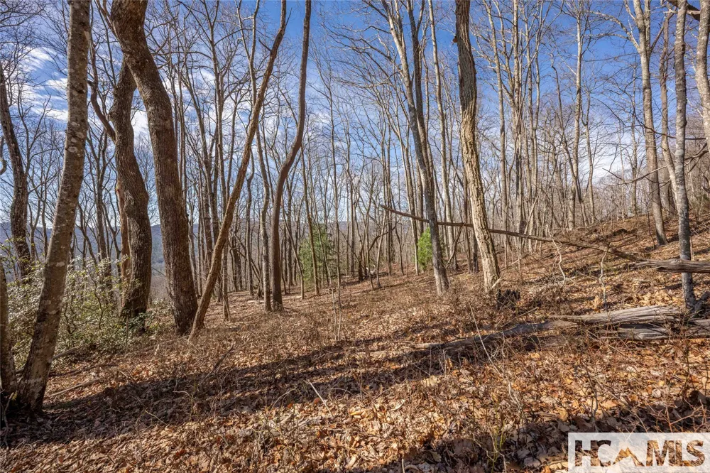 41 ac Trussing Terrace Sapphire, NC 28774