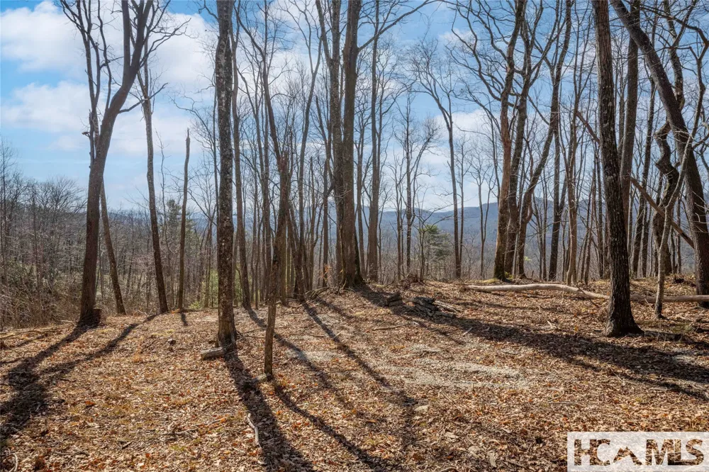 41 ac Trussing Terrace Sapphire, NC 28774