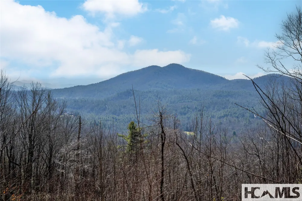 41 ac Trussing Terrace Sapphire, NC 28774