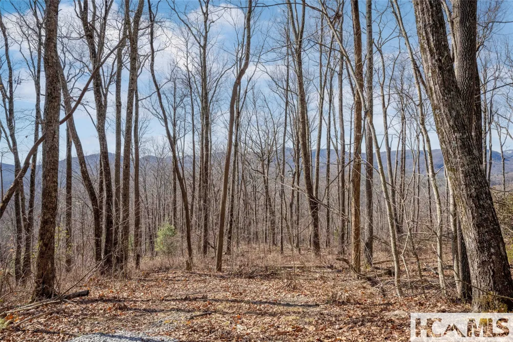 41 ac Trussing Terrace Sapphire, NC 28774