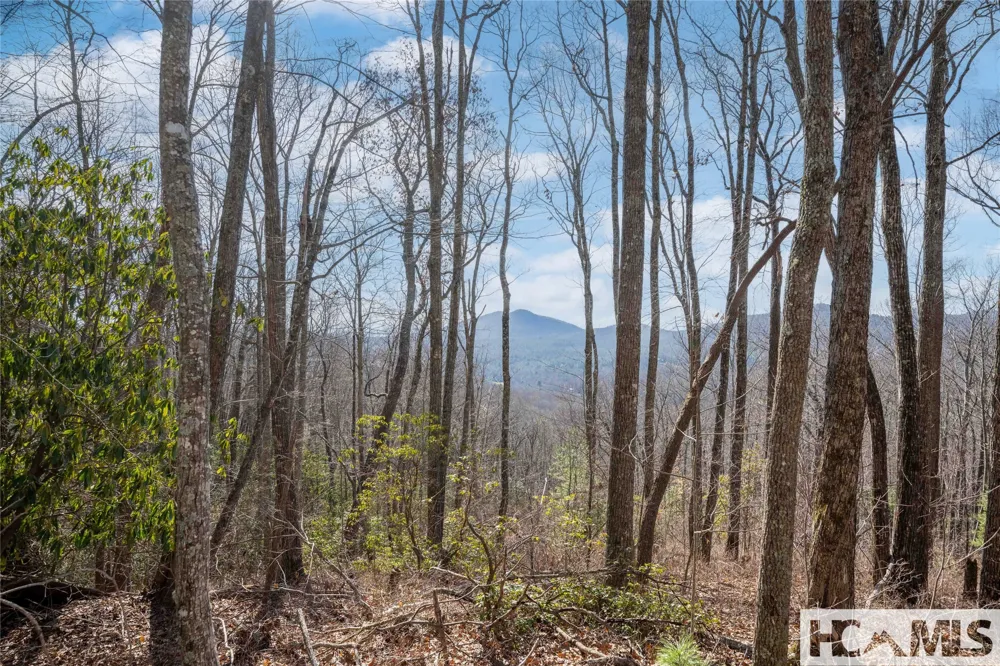 41 ac Trussing Terrace Sapphire, NC 28774