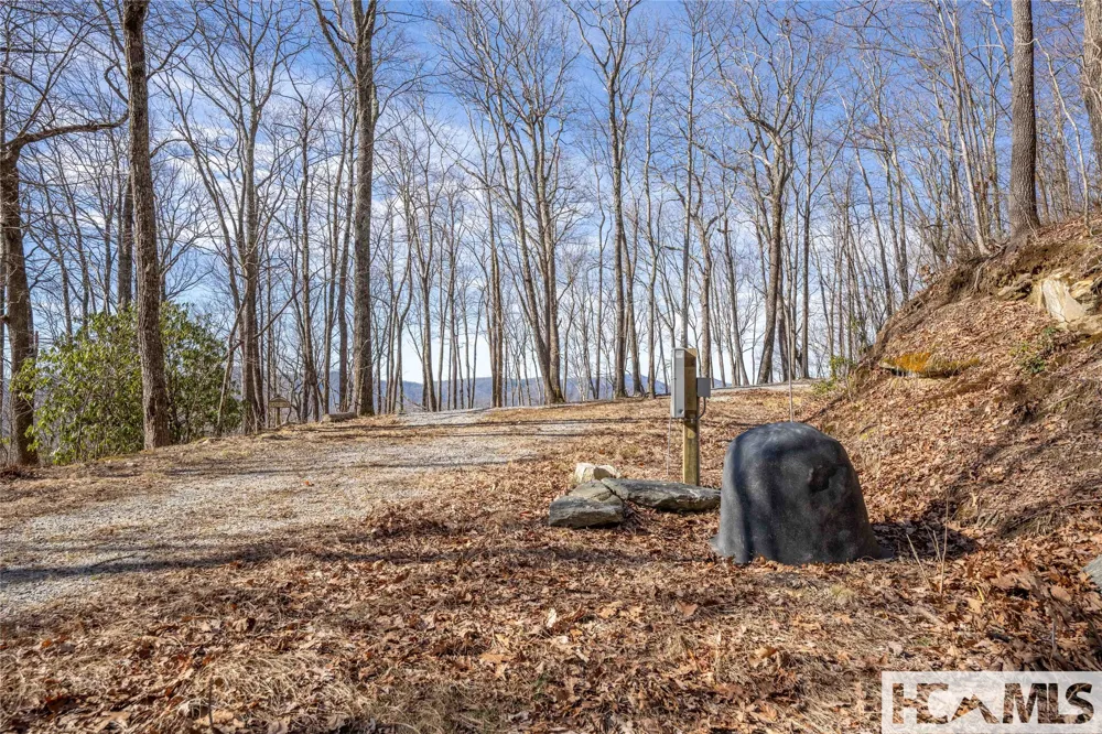 41 ac Trussing Terrace Sapphire, NC 28774