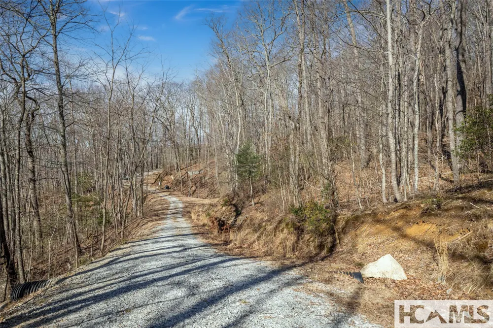 41 ac Trussing Terrace Sapphire, NC 28774