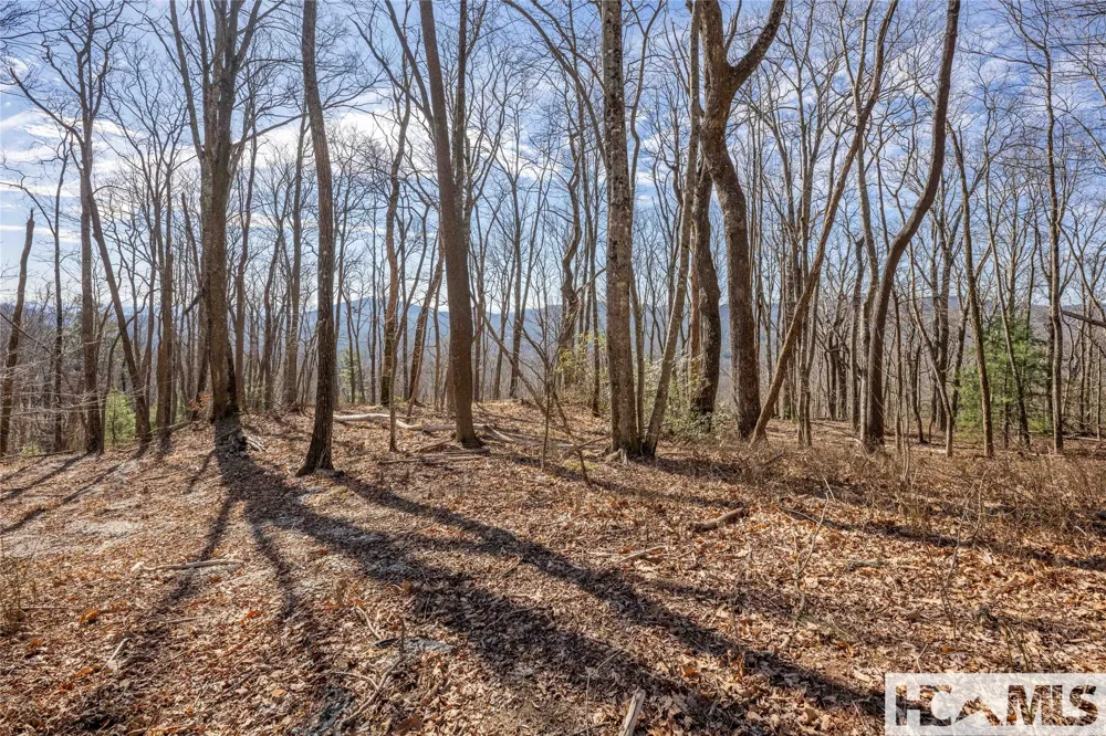41 ac Trussing Terrace Sapphire, NC 28774