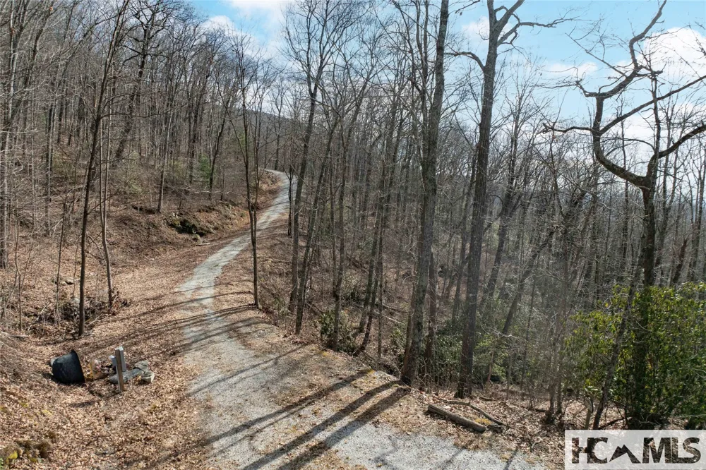 41 ac Trussing Terrace Sapphire, NC 28774