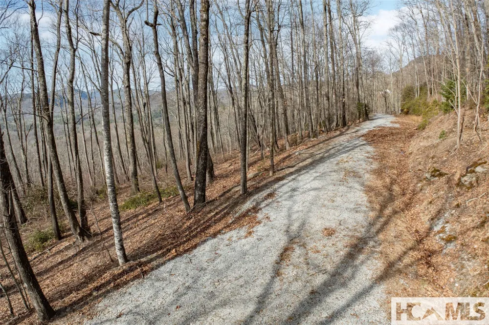 41 ac Trussing Terrace Sapphire, NC 28774