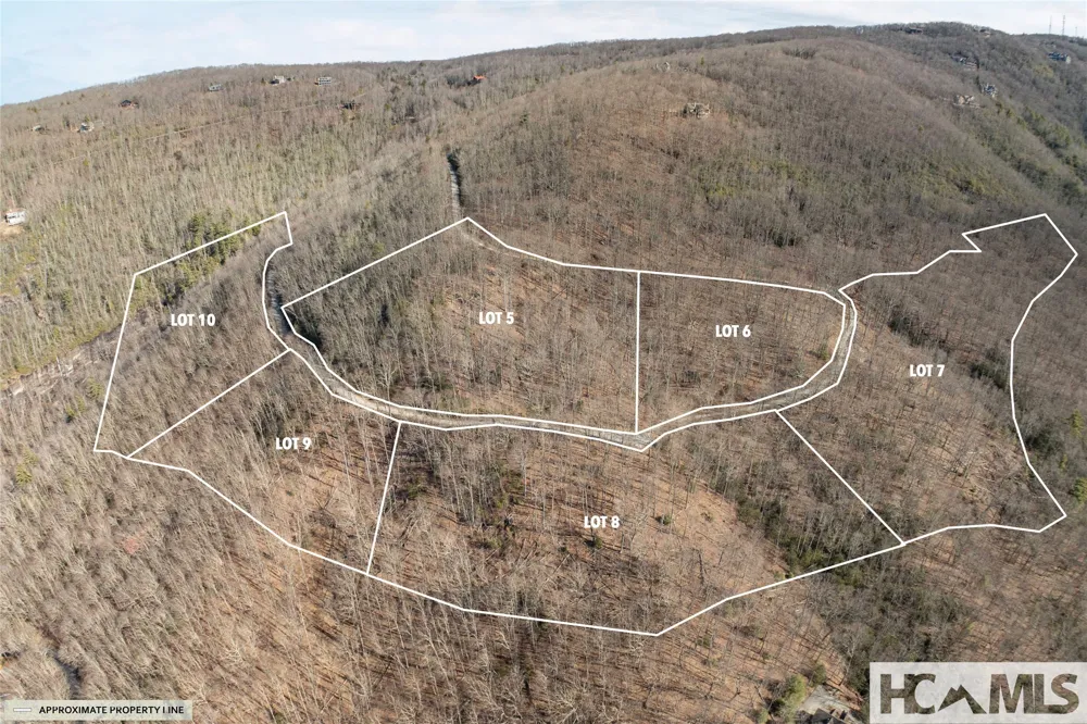 41 ac Trussing Terrace Sapphire, NC 28774