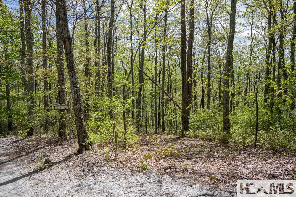 41 ac Trussing Terrace Sapphire, NC 28774