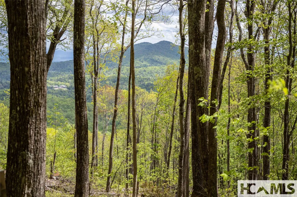 41 ac Trussing Terrace Sapphire, NC 28774