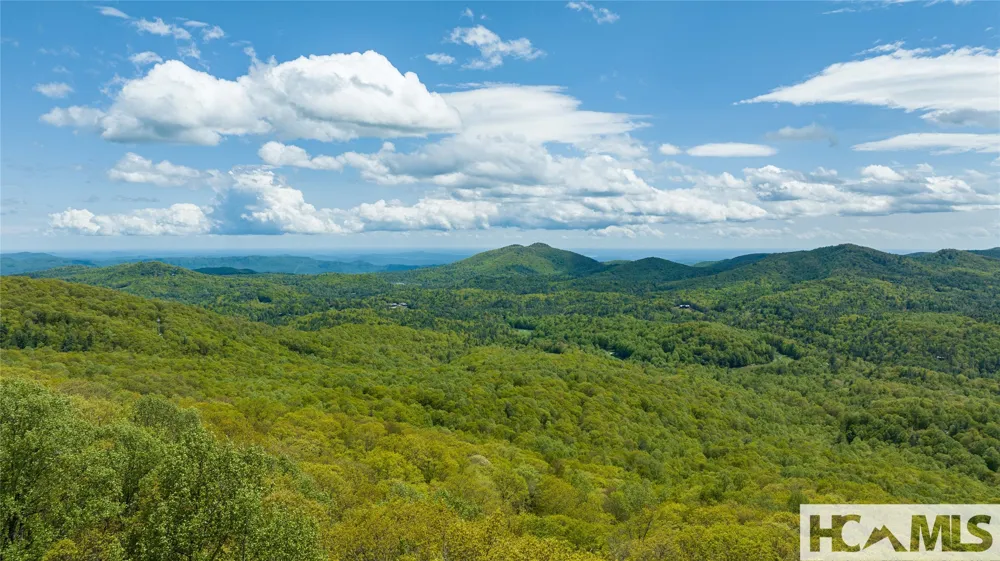 41 ac Trussing Terrace Sapphire, NC 28774
