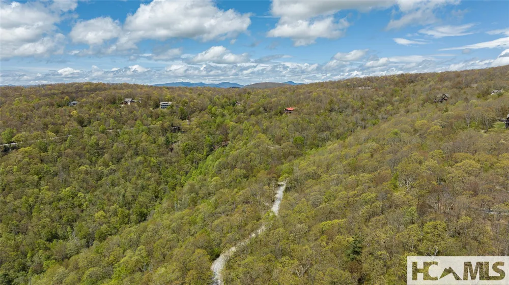 41 ac Trussing Terrace Sapphire, NC 28774