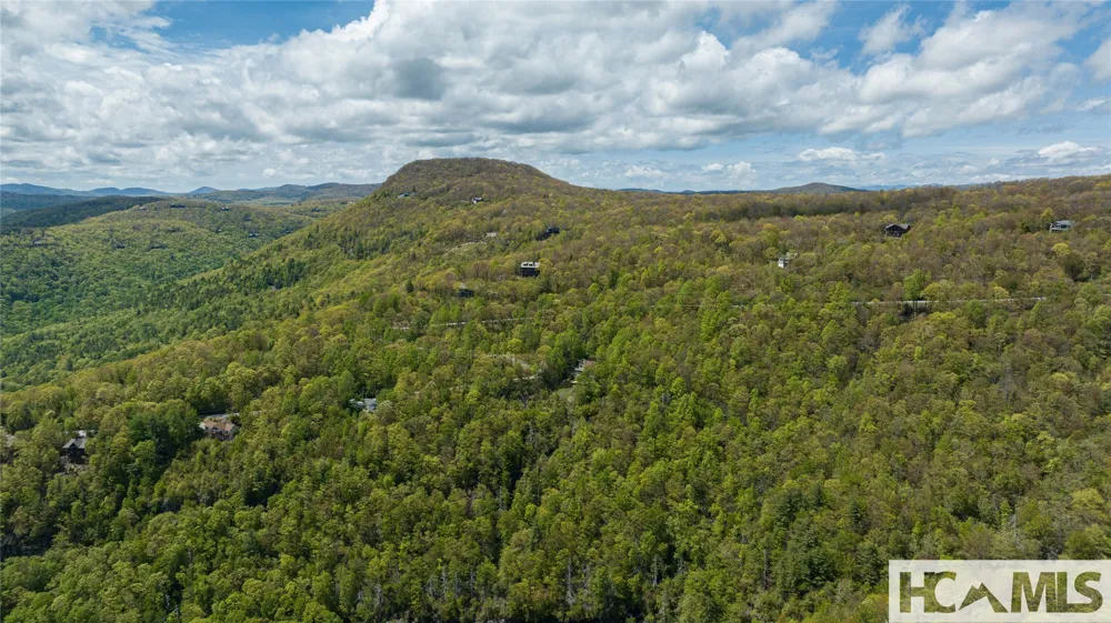 41 ac Trussing Terrace Sapphire, NC 28774