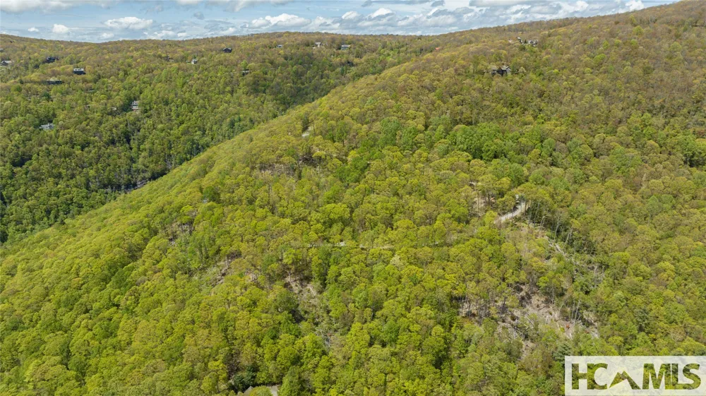 41 ac Trussing Terrace Sapphire, NC 28774