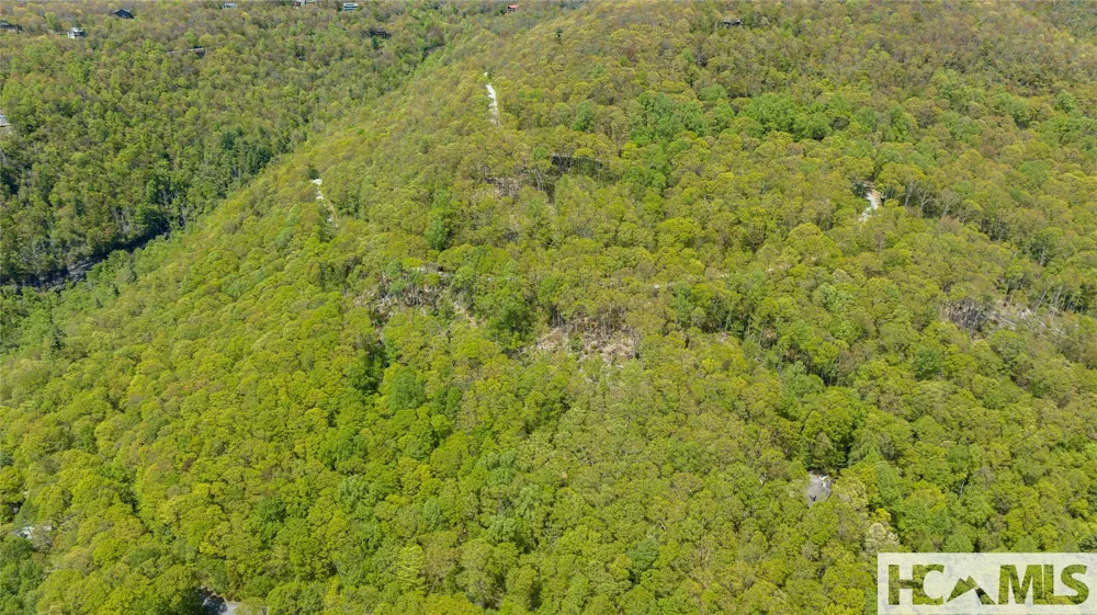 41 ac Trussing Terrace Sapphire, NC 28774