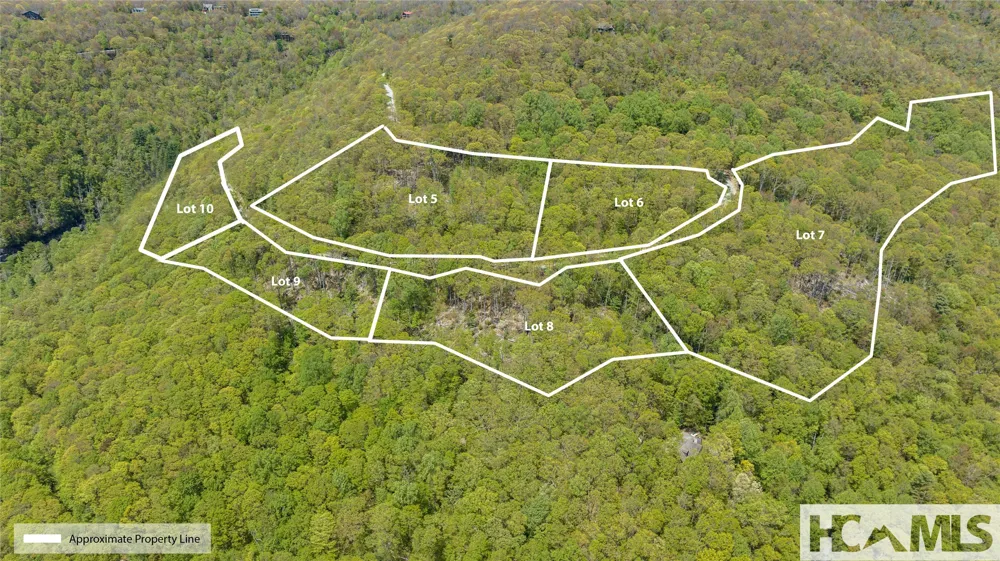 41 ac Trussing Terrace Sapphire, NC 28774