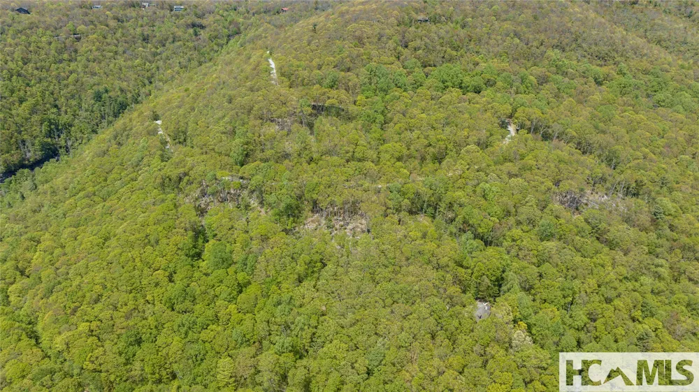 41 ac Trussing Terrace Sapphire, NC 28774