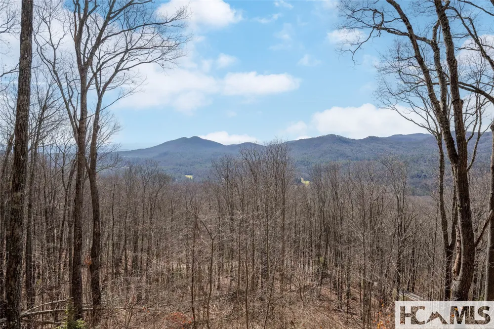 41 ac Trussing Terrace Sapphire, NC 28774