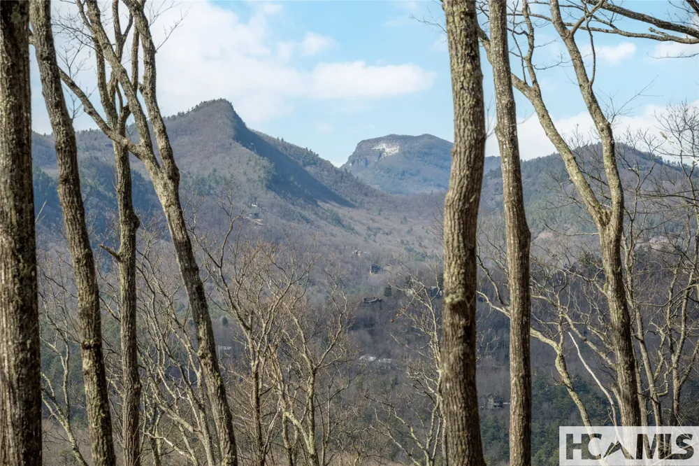 41 ac Trussing Terrace Sapphire, NC 28774