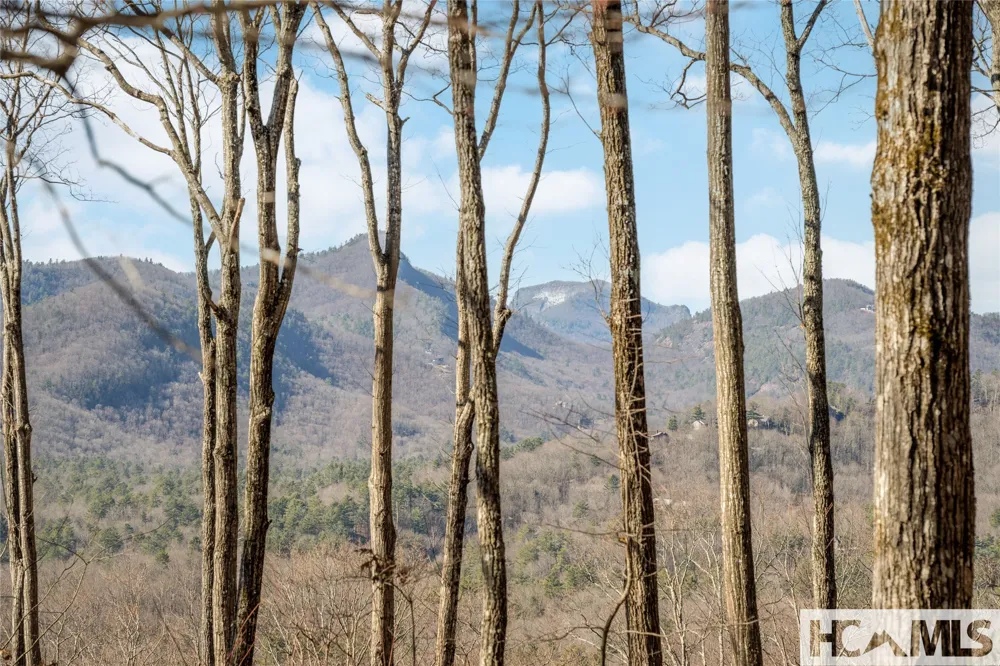 41 ac Trussing Terrace Sapphire, NC 28774