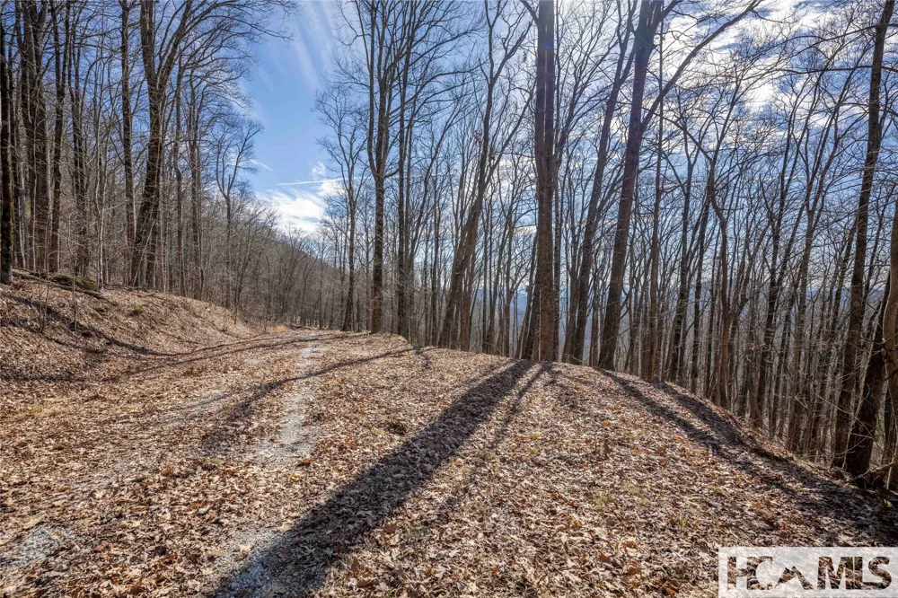 41 ac Trussing Terrace Sapphire, NC 28774