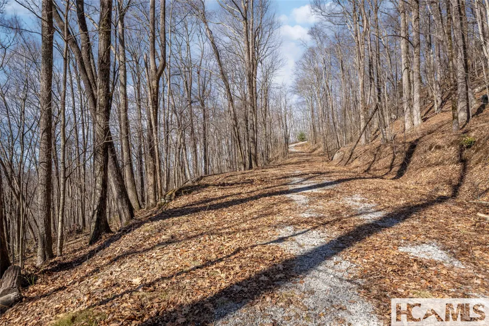 41 ac Trussing Terrace Sapphire, NC 28774