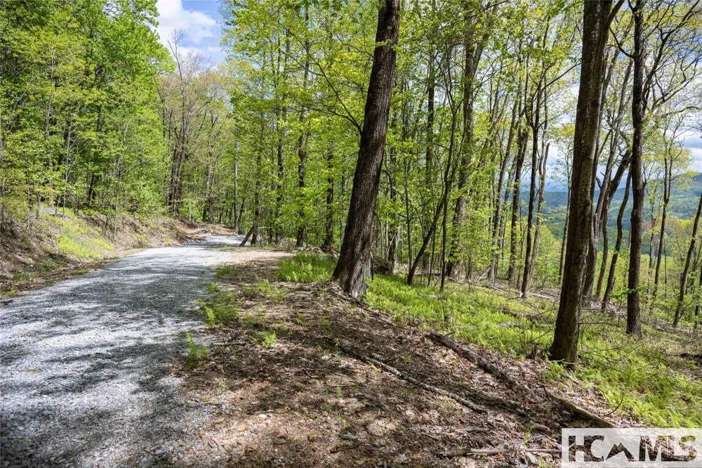 41 ac Trussing Terrace Sapphire, NC 28774