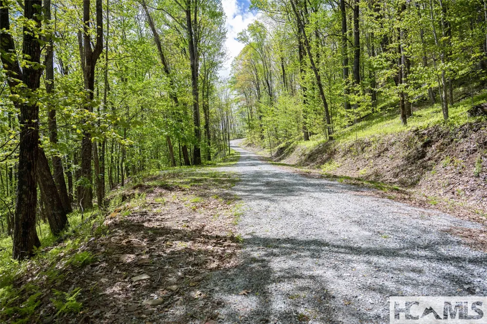 41 ac Trussing Terrace Sapphire, NC 28774