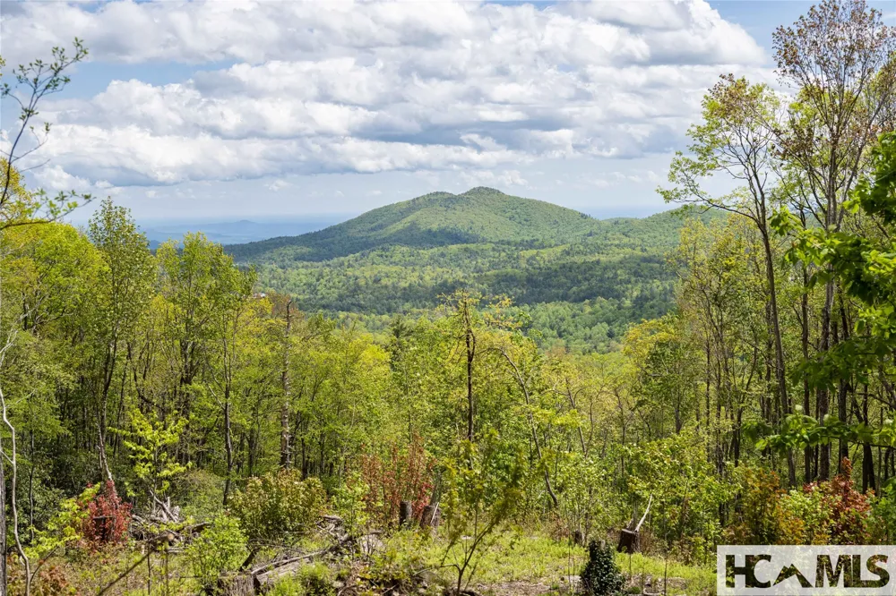 41 ac Trussing Terrace Sapphire, NC 28774