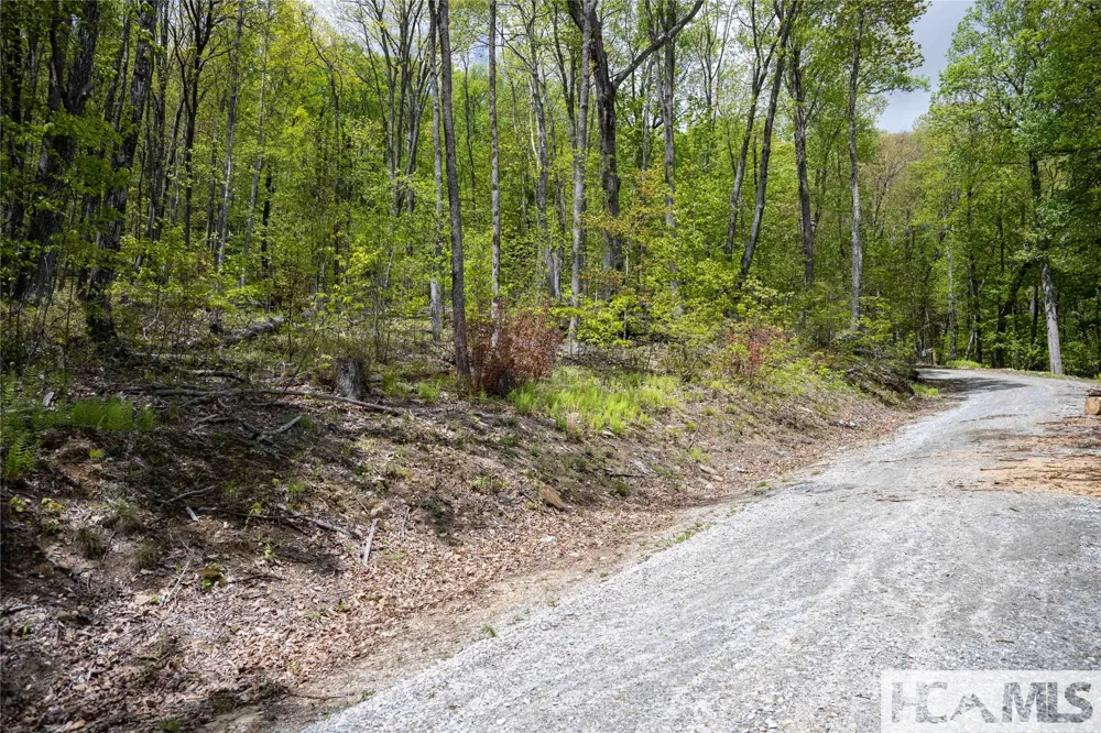 41 ac Trussing Terrace Sapphire, NC 28774