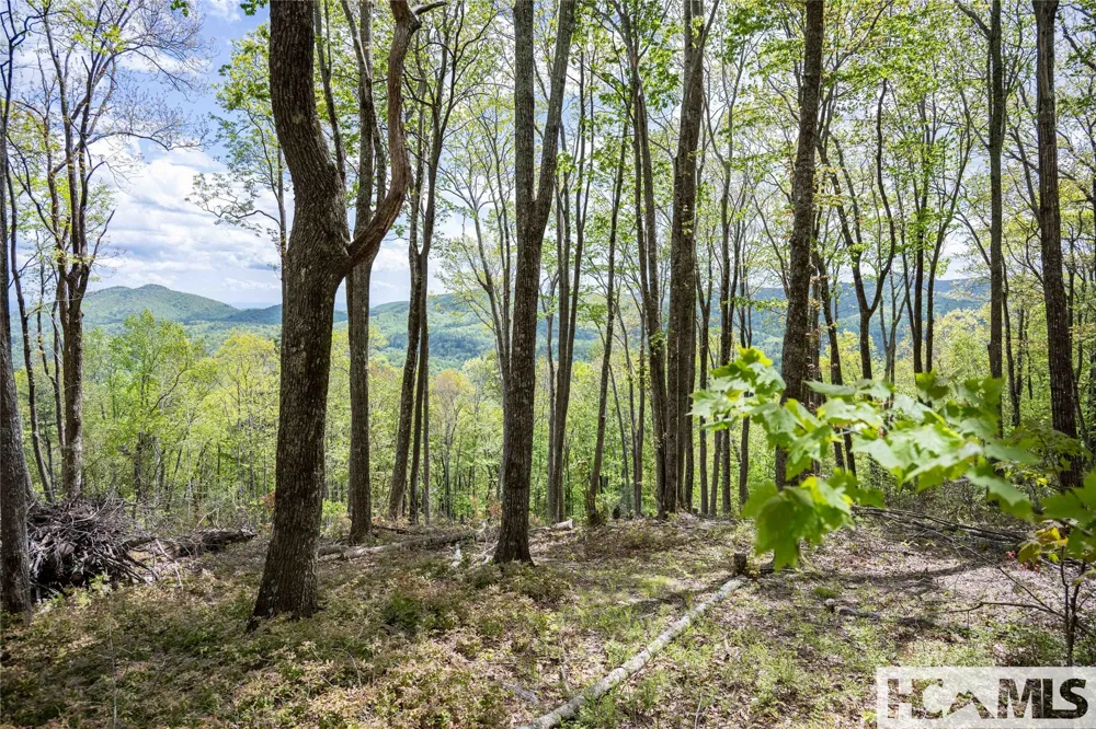 41 ac Trussing Terrace Sapphire, NC 28774