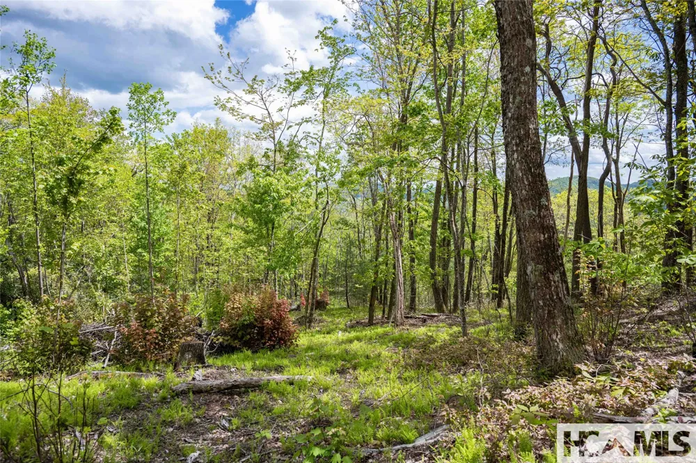 41 ac Trussing Terrace Sapphire, NC 28774