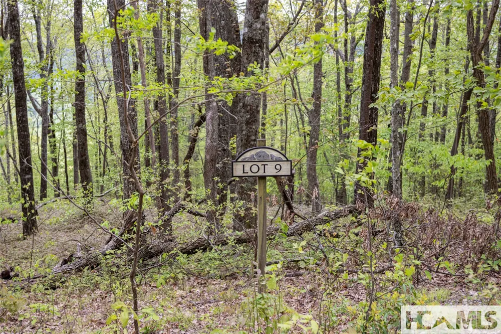 41 ac Trussing Terrace Sapphire, NC 28774