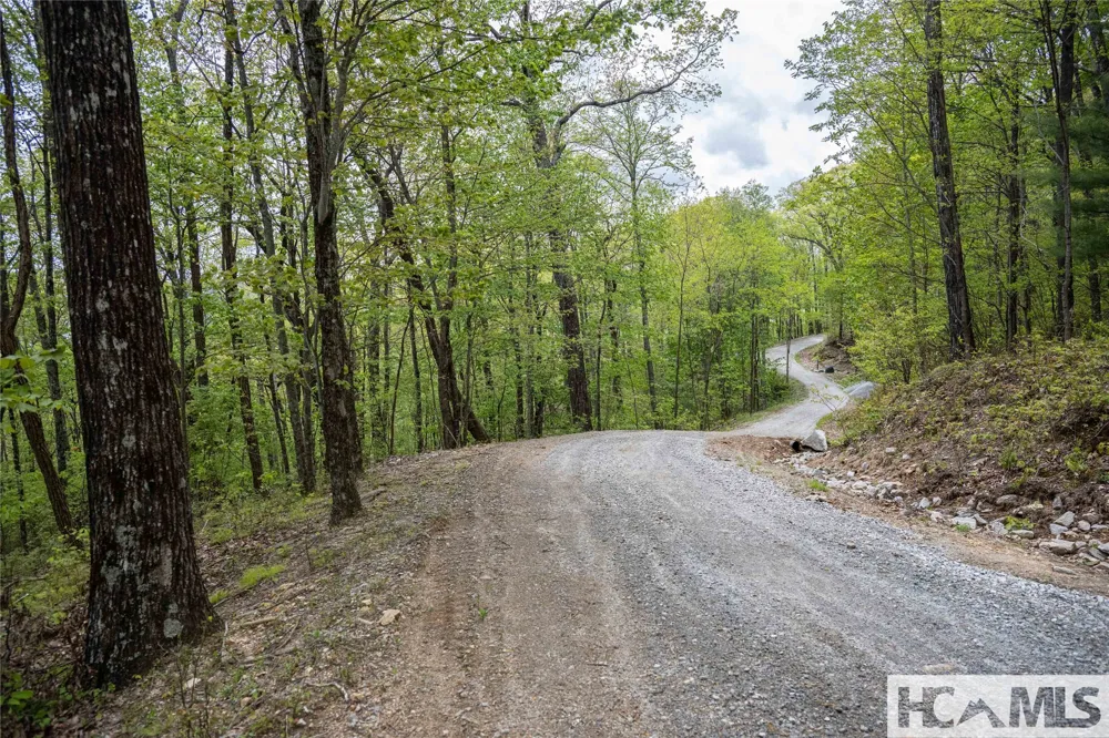 41 ac Trussing Terrace Sapphire, NC 28774