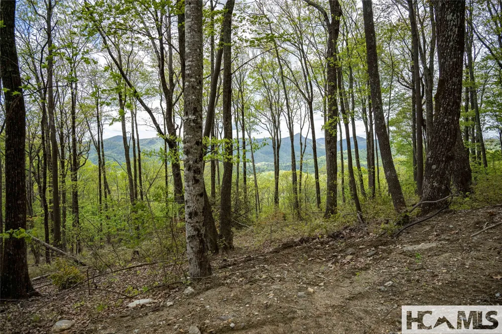 41 ac Trussing Terrace Sapphire, NC 28774