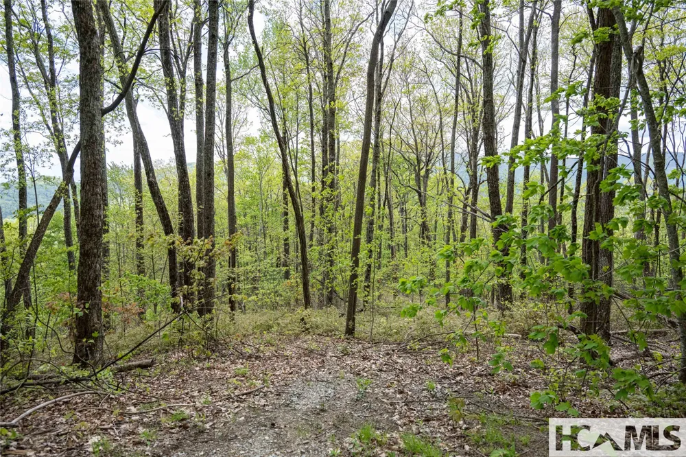 41 ac Trussing Terrace Sapphire, NC 28774