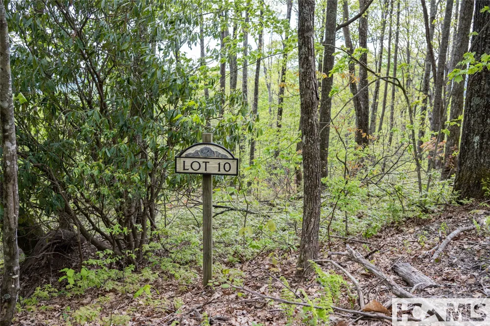 41 ac Trussing Terrace Sapphire, NC 28774