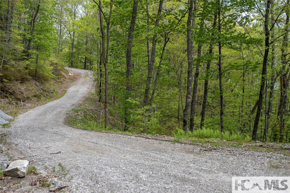 41 ac Trussing Terrace Sapphire, NC 28774