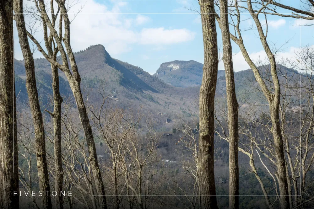 41 ac Trussing Terrace Sapphire, NC 28774