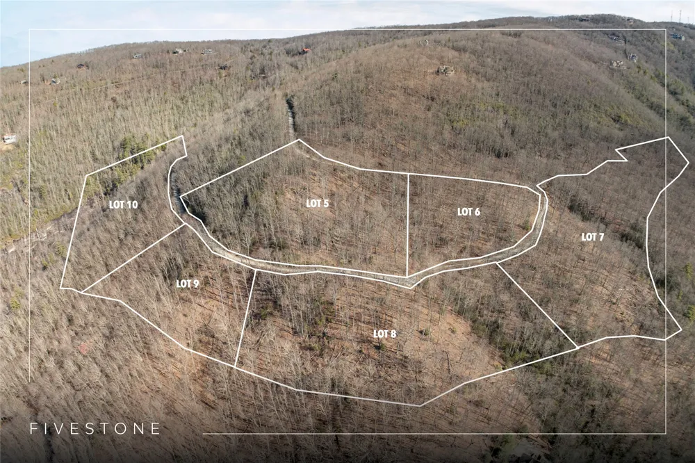 41 ac Trussing Terrace Sapphire, NC 28774