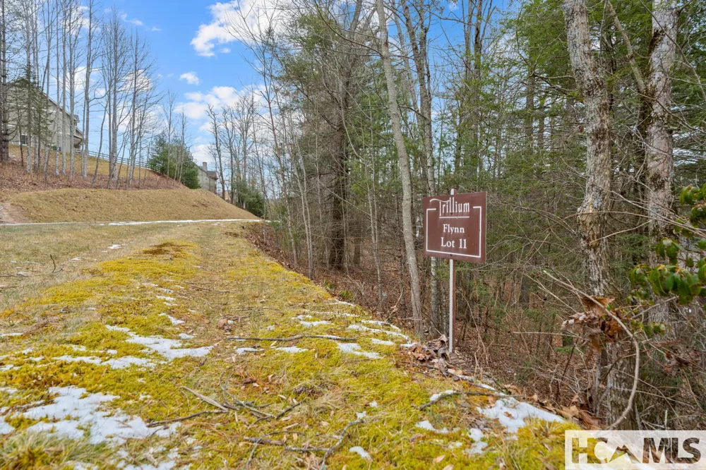 Lt 11 Trillium Ridge Cullowhee, NC 28723