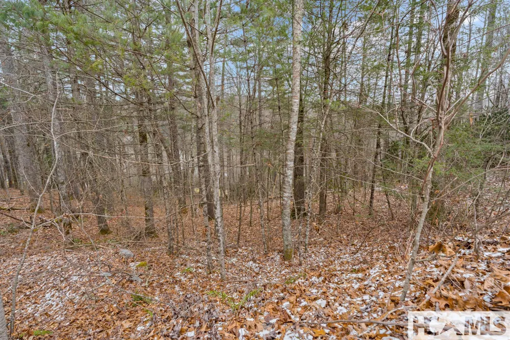 Lt 11 Trillium Ridge Cullowhee, NC 28723