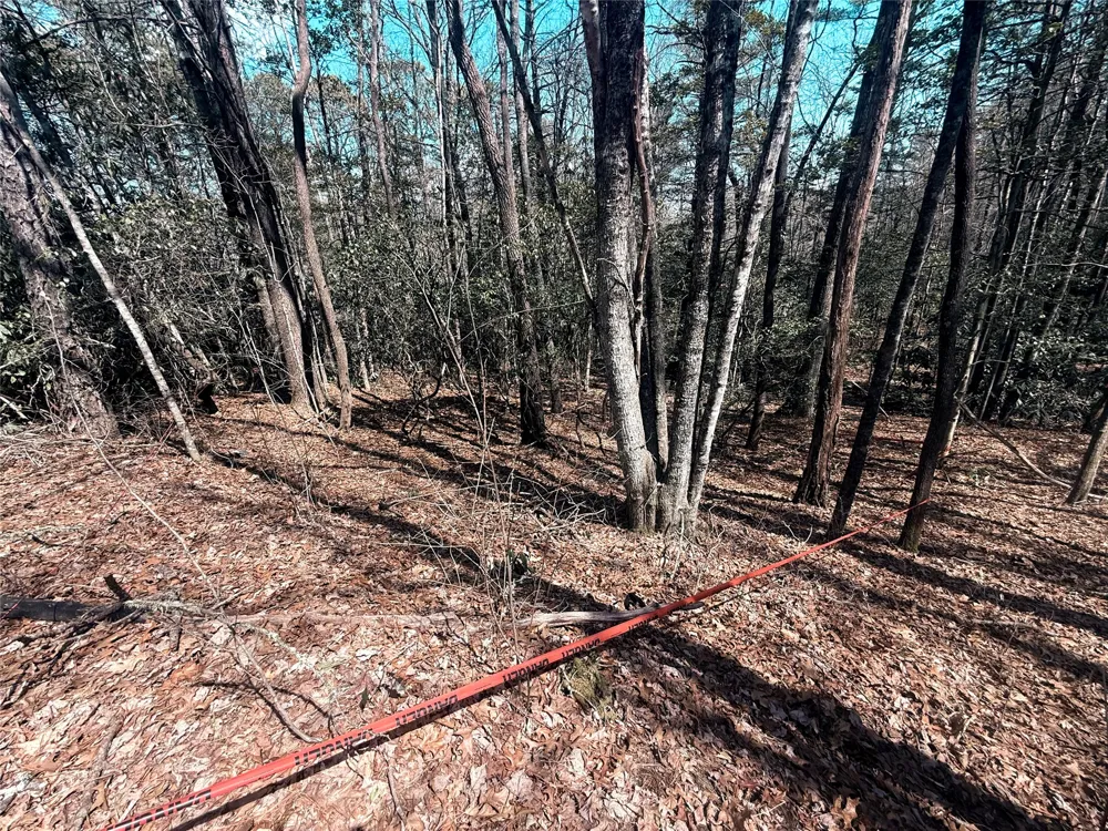 TBD Minerva Sapphire, NC 28774