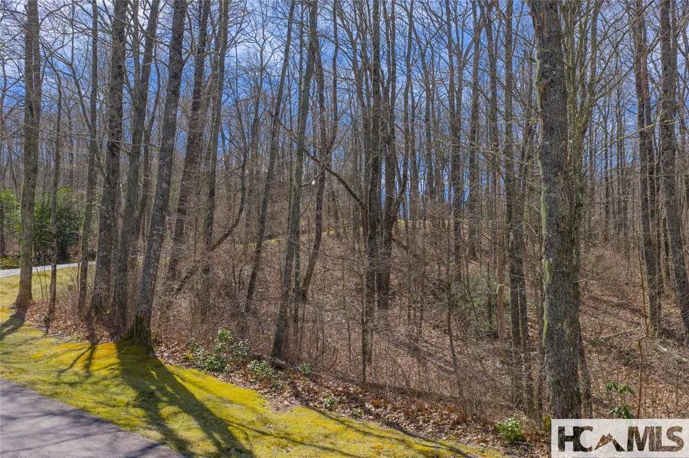 Lot 10 Trailhead Way Glenville, NC 28736