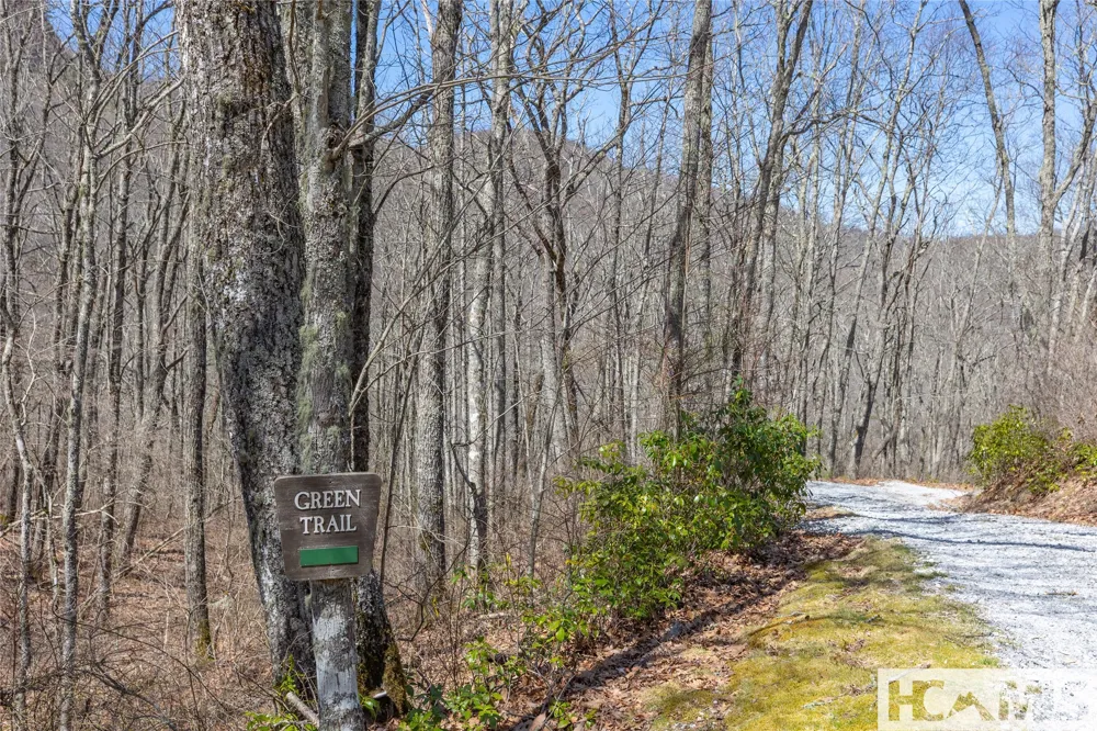 Lot 10 Trailhead Way Glenville, NC 28736